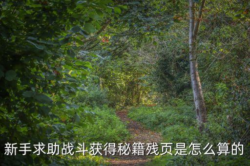 新手求助战斗获得秘籍残页是怎么算的