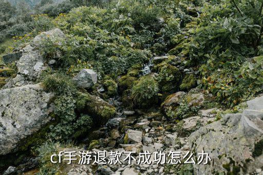 苹果cf手游怎么退不了款，cf手游退款不成功怎么办