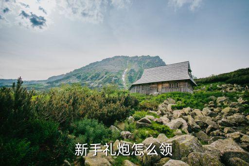 罪恶王冠手游礼炮怎么获得，罪恶王冠失落的圣诞节 游戏