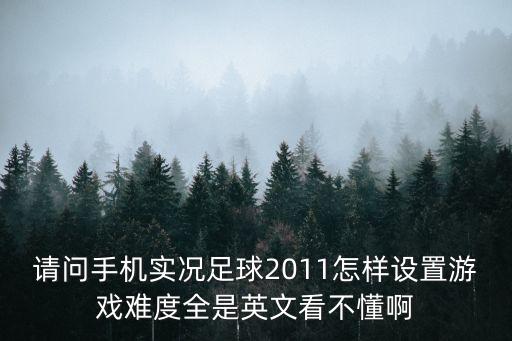 请问手机实况足球2011怎样设置游戏难度全是英文看不懂啊