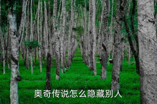 奥奇传说怎么隐藏别人