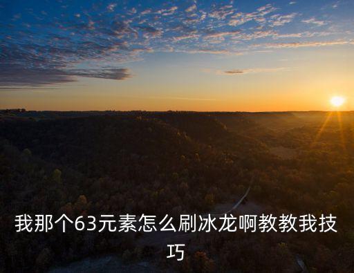我那个63元素怎么刷冰龙啊教教我技巧