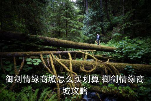 御剑情缘商城怎么买划算 御剑情缘商城攻略