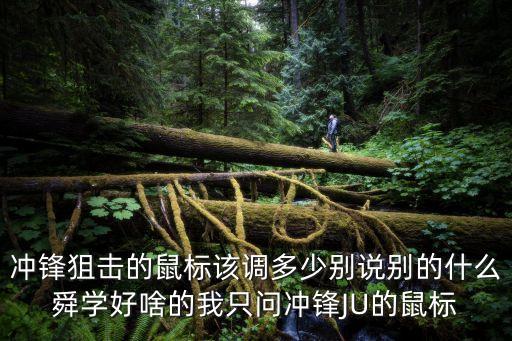 冲锋狙击的鼠标该调多少别说别的什么舜学好啥的我只问冲锋JU的鼠标