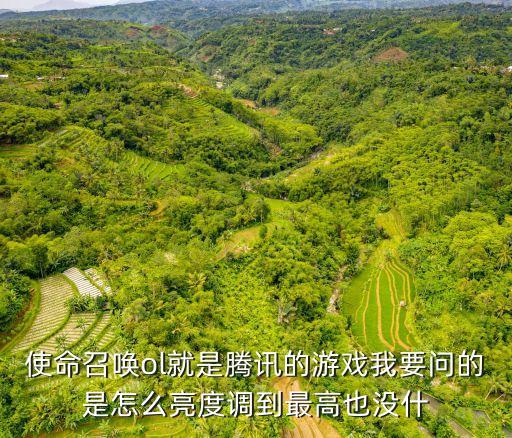 使命召唤ol就是腾讯的游戏我要问的是怎么亮度调到最高也没什