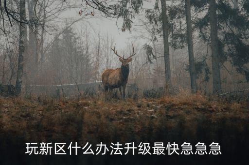 玩新区什么办法升级最快急急急