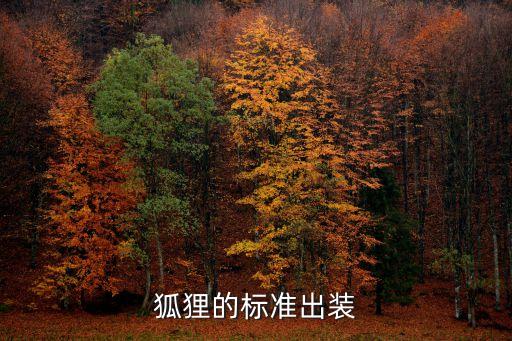 狐狸的标准出装