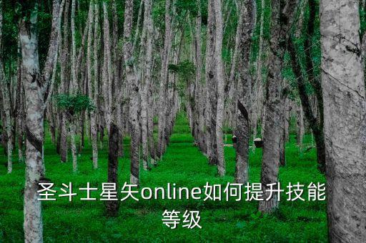 圣斗士星矢手游怎么刷技能，圣斗士星矢online如何提升技能等级