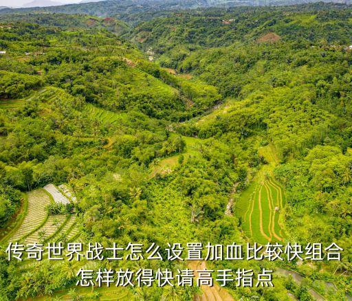 传奇世界战士怎么设置加血比较快组合怎样放得快请高手指点