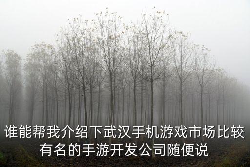 谁能帮我介绍下武汉手机游戏市场比较有名的手游开发公司随便说