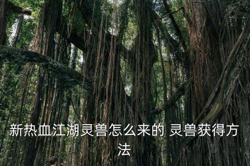 热血江湖手游力龙怎么获得，新热血江湖灵兽怎么来的 灵兽获得方法