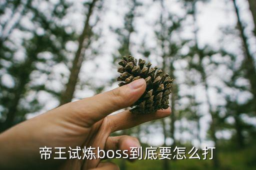 帝王试炼boss到底要怎么打