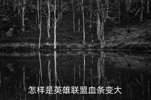 怎样是英雄联盟血条变大