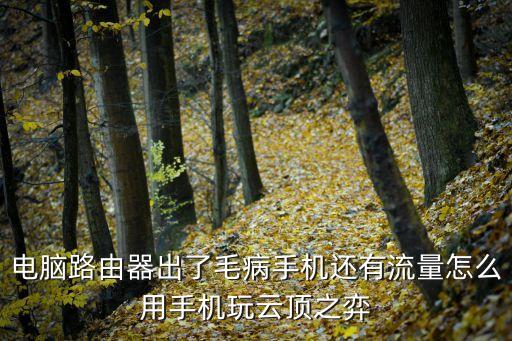 手游云顶之弈怎么打开啊，为什么我oppo手机玩不了云顶之弈手游