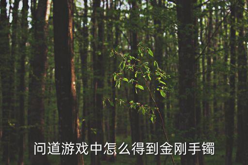问道手游金刚圈怎么来的，问道手游宠物下面的圈是什么