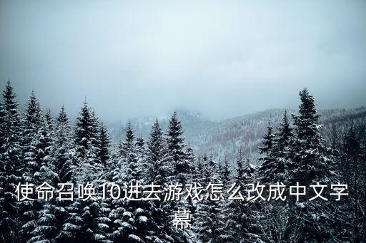 使命召唤手游日服怎么变中文，在快快游戏上下载的使命召唤9怎么汉化