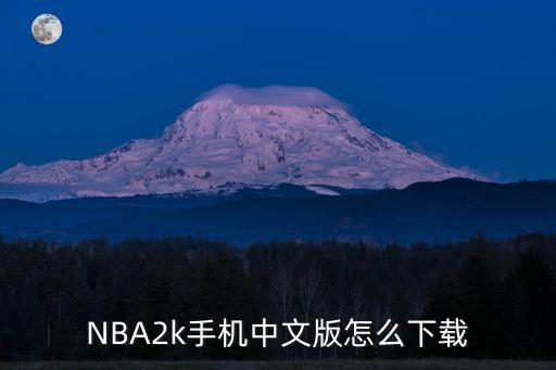NBA2k手机中文版怎么下载