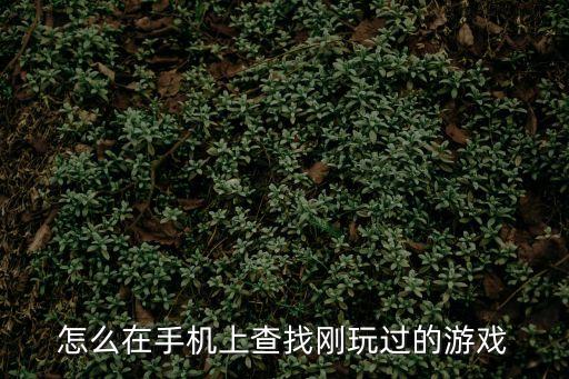 怎么在手机上查找刚玩过的游戏