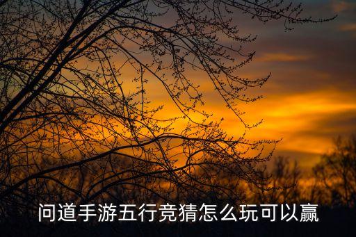 问道手游五行竞猜怎么玩可以赢
