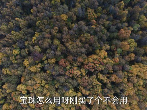 宝珠怎么用呀刚买了个不会用