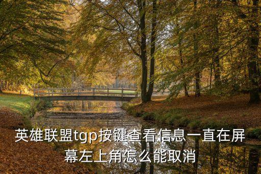 英雄联盟tgp按键查看信息一直在屏幕左上角怎么能取消