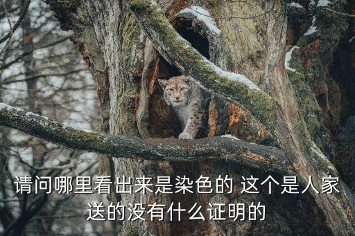请问哪里看出来是染色的 这个是人家送的没有什么证明的