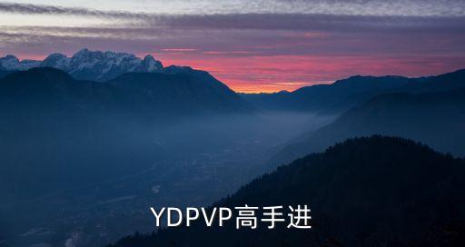 YDPVP高手进