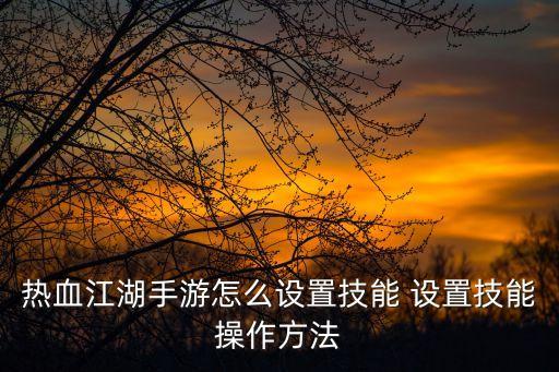 热血江湖手游怎么设置技能 设置技能操作方法