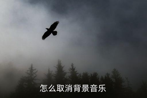 怎么取消背景音乐