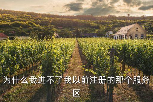 为什么我进不了我以前注册的那个服务区