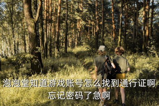 怎么下方舟手游有通行证的，方舟生存进化手游全服通行证自己掉怎么办