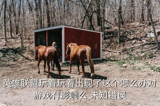 英雄联盟玩着玩着出现了这个怎么办对游戏有影响么 未知错误