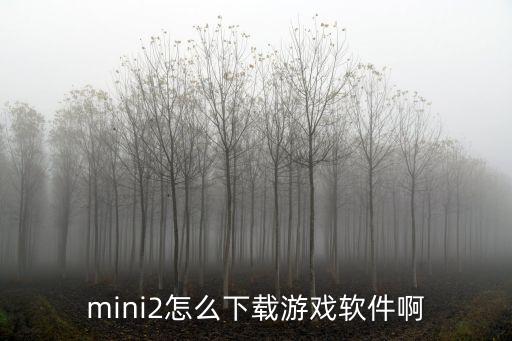 mini2怎么下载游戏软件啊