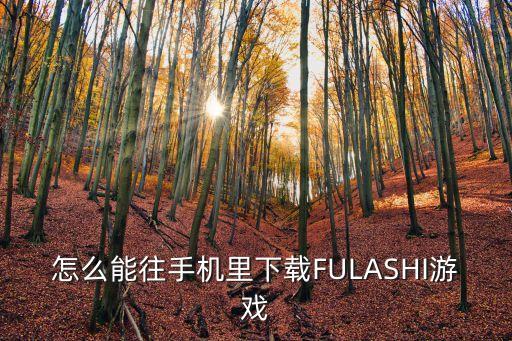 夏日狂想曲手游怎么下载，怎么能往手机里下载FULASHI游戏