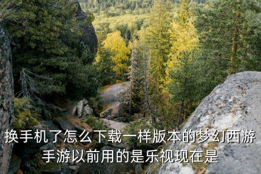换手机了怎么下载一样版本的梦幻西游手游以前用的是乐视现在是