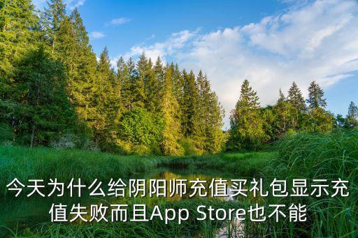 今天为什么给阴阳师充值买礼包显示充值失败而且App Store也不能