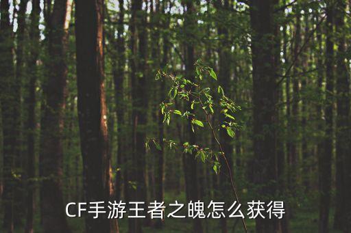 CF手游王者之魄怎么获得