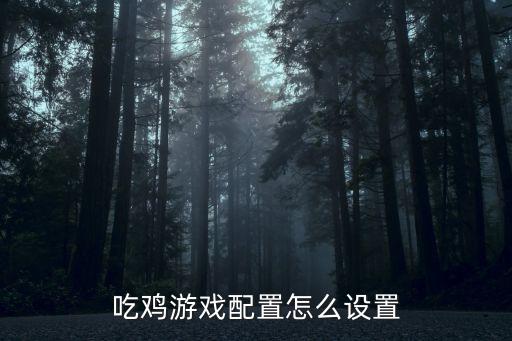 手游吃鸡设置怎么调合适，绝地求生游戏设置怎么调最合适