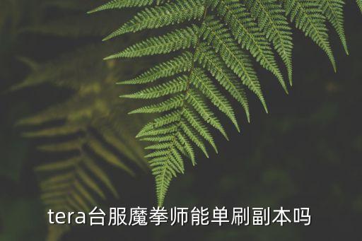 cf手游拳魔怎么打单人，tera台服魔拳师能单刷副本吗