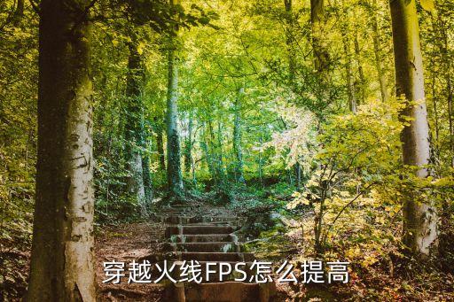 穿越火线FPS怎么提高