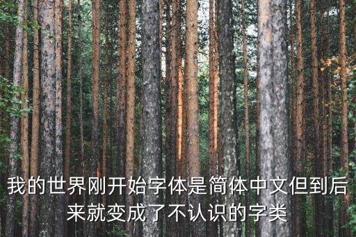 我的世界刚开始字体是简体中文但到后来就变成了不认识的字类