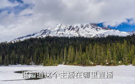 冒险岛手游直播地址怎么看，谁知道这个主播在哪里直播