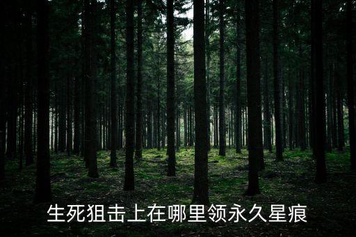 生死狙击上在哪里领永久星痕