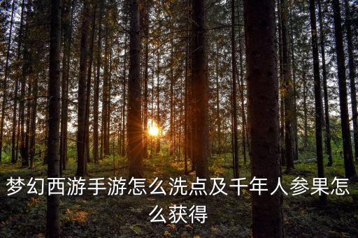 梦幻手游召唤兽怎么洗点，梦幻西游上 宝宝怎么洗点