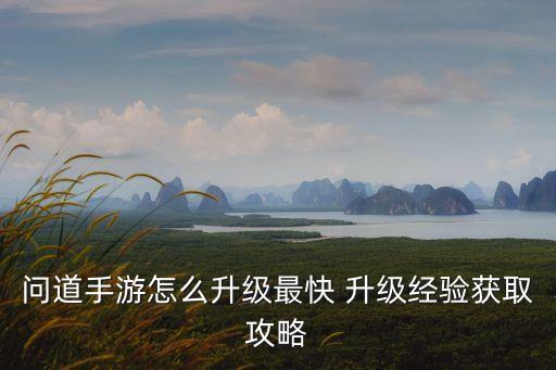 问道手游怎么升级最快 升级经验获取攻略