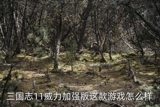 三国志11威力加强版这款游戏怎么样