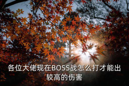 各位大佬现在BOSS战怎么打才能出较高的伤害