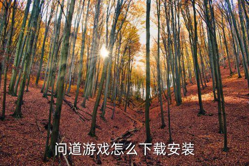 问道游戏怎么下载安装