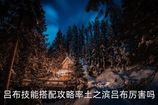 吕布技能搭配攻略率土之滨吕布厉害吗
