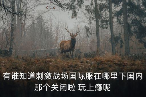 有谁知道刺激战场国际服在哪里下国内那个关闭啦 玩上瘾呢